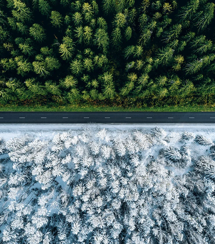 Difference Between Summer and Winter Tyres